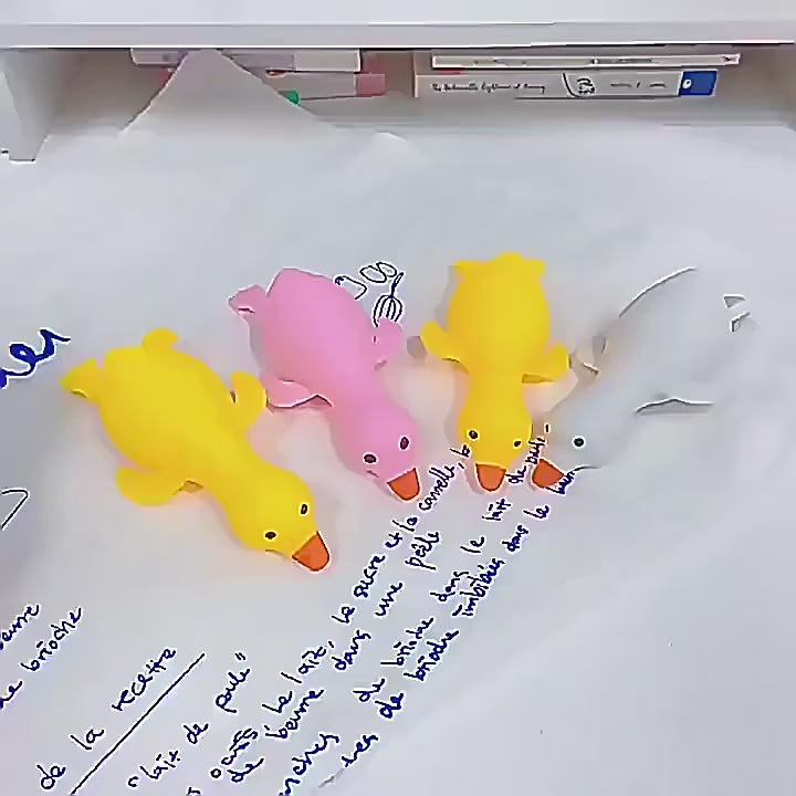 Pato PopJoy